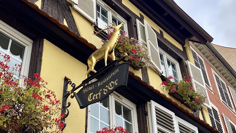 Restaurant Au Cerf d'Or — restaurant Alsacien à Strasbourg